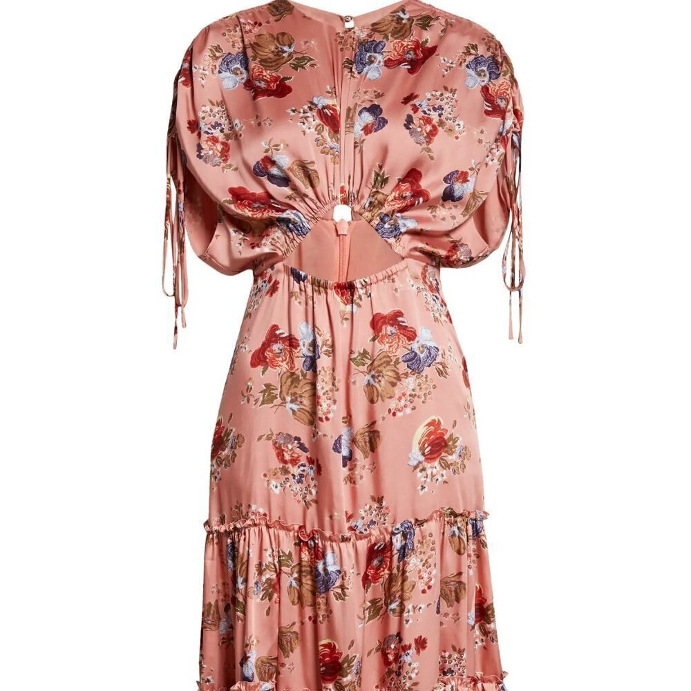 Cinq A Sept Martine Dress in Bare Rose Multi I Size 2 NWT - Picture 5 of 14